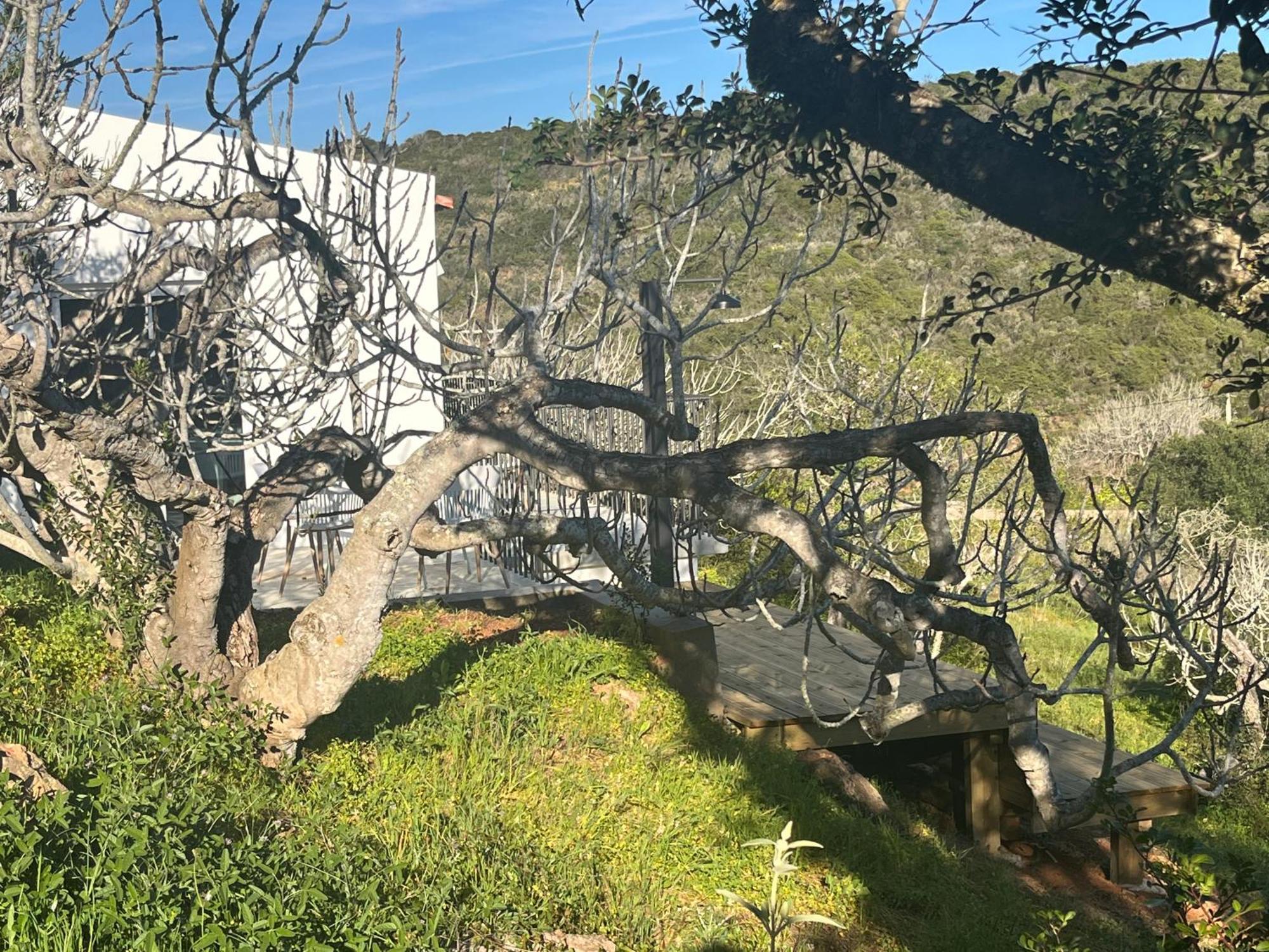 Nature&Soul - Sol Vila do Bispo Exterior photo